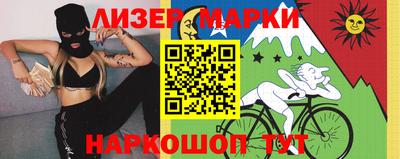 прущие грибы Кандалакша