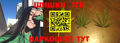 прущие грибы Кандалакша