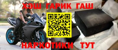 прущие грибы Кандалакша