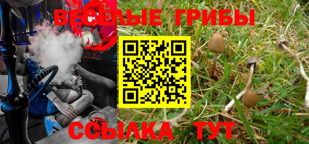 Псилоцибиновые грибы MAGIC MUSHROOMS Заводоуковск