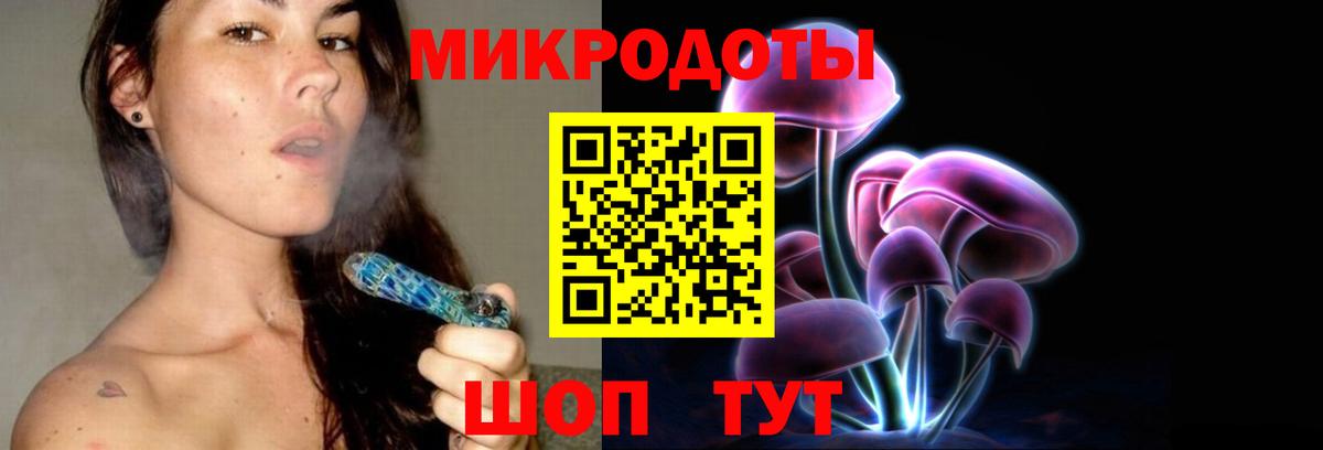 Псилоцибиновые грибы Psilocybine cubensis  купить наркотик  Заводоуковск  Вход с VPN 