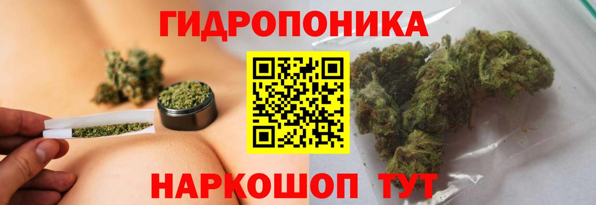 Бошки марихуана AK-47  Вход с VPN  Бошки Шишки LSD WEED  Заводоуковск  Марихуана OG Kush 